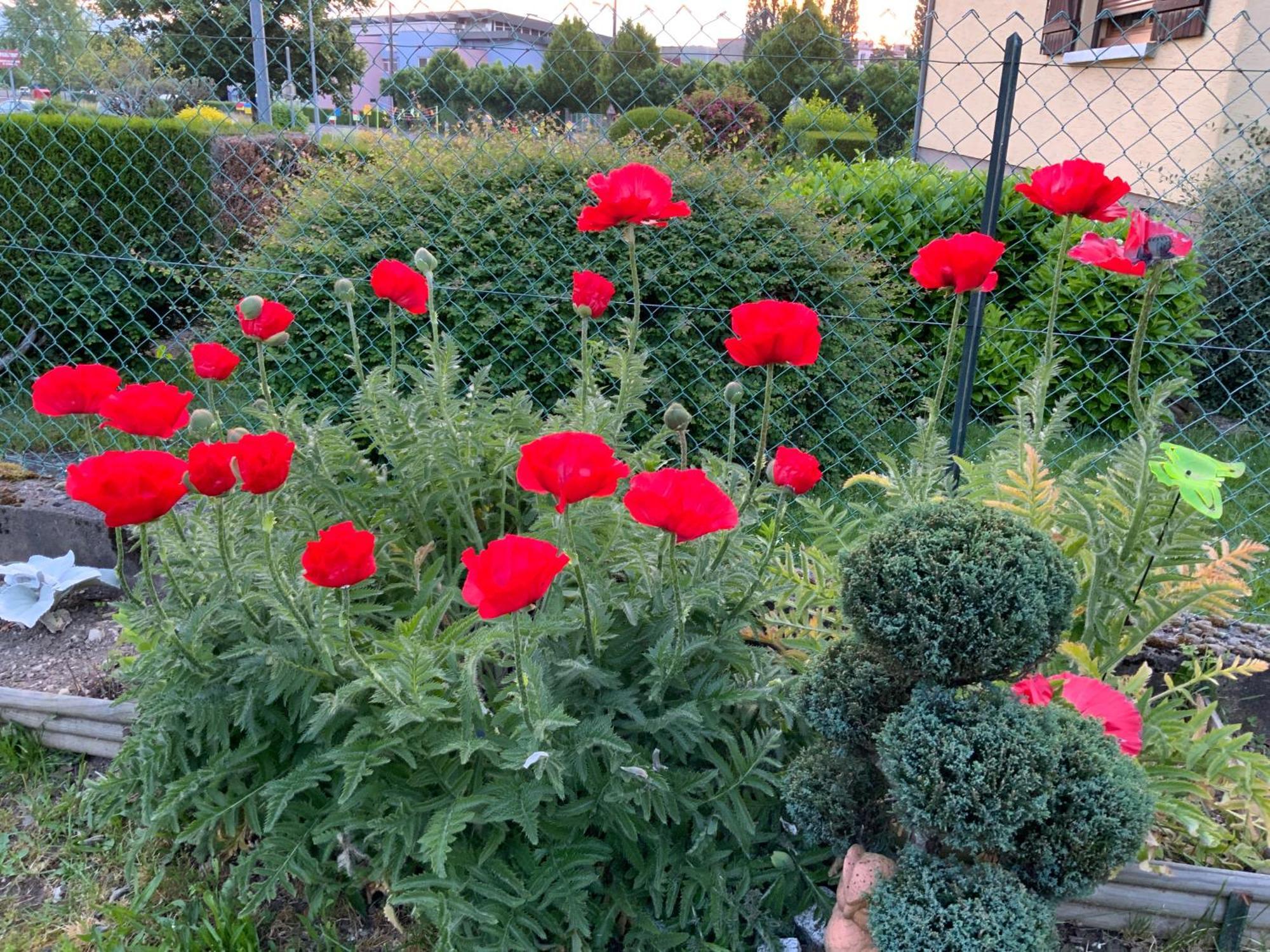 Le Nid Fleuri De Cravanche 外观 照片