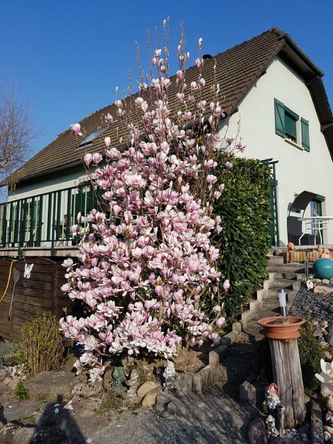 Le Nid Fleuri De Cravanche 外观 照片